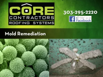 Mold: A Growing Concern for the Insurance Professional CE course
