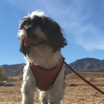 Toby Leibrock &mdash; Core Roofing Systems support team pet